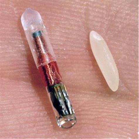 rfid chip why is got one|how to disable rfid implant.